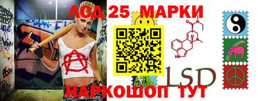 apvp Гатчина