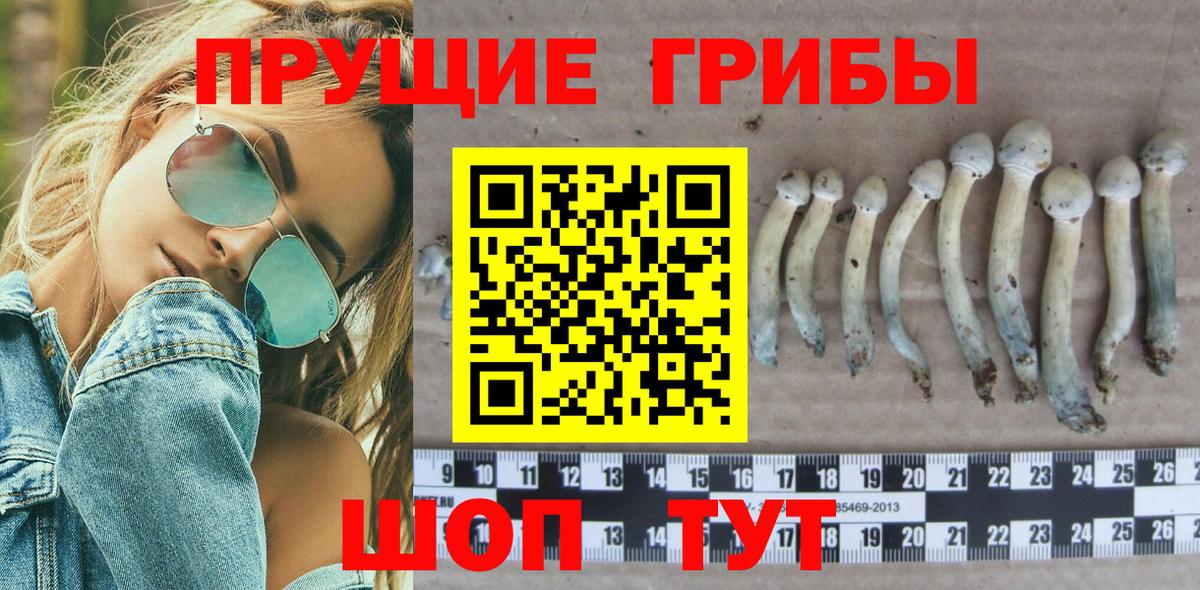 Галлюциногенные грибы Psilocybe  Галлюциногенные грибы Magic Shrooms  Гусиноозёрск  Вход с VPN 